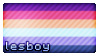 Lesboy