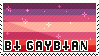 Bi Gaybian